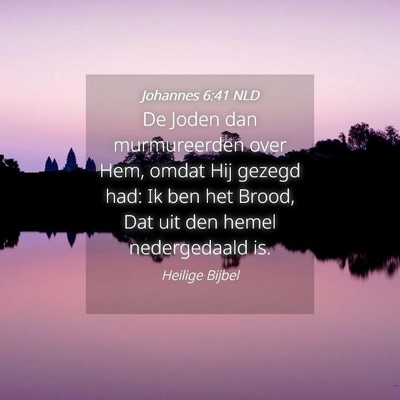 Picture 04 - Johannes 6:41 NLD - De Joden dan murmureerden over Hem, omdat Hij - Bible Verse Picture