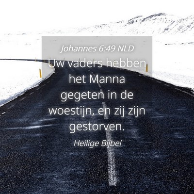 Picture 04 - Johannes 6:49 NLD - Uw vaders hebben het Manna gegeten in de - Bible Verse Picture