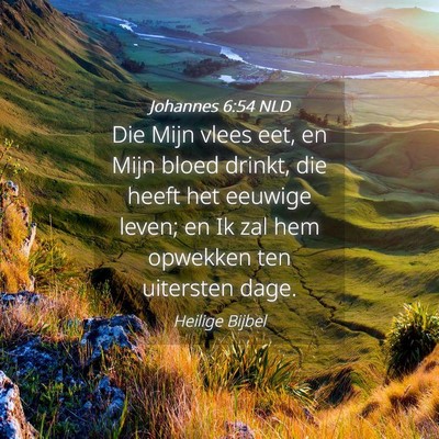 Picture 04 - Johannes 6:54 NLD - Die Mijn vlees eet, en Mijn bloed drinkt, die - Bible Verse Picture