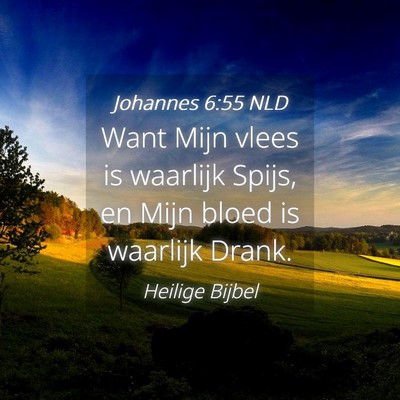 Picture 04 - Johannes 6:55 NLD - Want Mijn vlees is waarlijk Spijs, en Mijn bloed - Bible Verse Picture