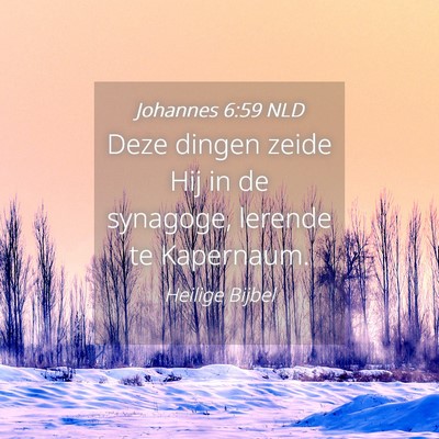 Picture 04 - Johannes 6:59 NLD - Deze dingen zeide Hij in de synagoge, lerende te - Bible Verse Picture