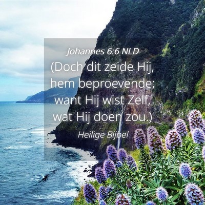 Picture 04 - Johannes 6:6 NLD - (Doch dit zeide Hij, hem beproevende; want Hij - Bible Verse Picture