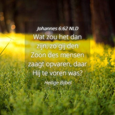 Picture 04 - Johannes 6:62 NLD - Wat zou het dan zijn, zo gij den Zoon des mensen - Bible Verse Picture