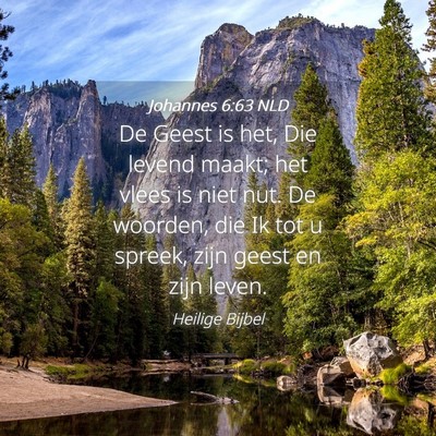 Picture 04 - Johannes 6:63 NLD - De Geest is het, Die levend maakt; het vlees is - Bible Verse Picture