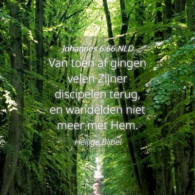 Picture 04 - Johannes 6:66 NLD - Van toen af gingen velen Zijner discipelen terug, - Bible Verse Picture