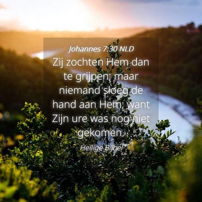 Picture 04 - Johannes 7:30 NLD - Zij zochten Hem dan te grijpen; maar niemand - Bible Verse Picture