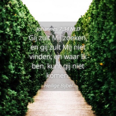 Picture 04 - Johannes 7:34 NLD - Gij zult Mij zoeken, en gij zult Mij niet vinden; - Bible Verse Picture