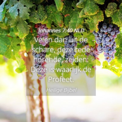 Picture 04 - Johannes 7:40 NLD - Velen dan uit de schare, deze rede horende, - Bible Verse Picture