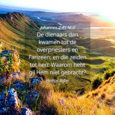 Picture 04 - Johannes 7:45 NLD - De dienaars dan kwamen tot de overpriesters en - Bible Verse Picture