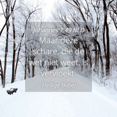 Picture 04 - Johannes 7:49 NLD - Maar deze schare, die de wet niet weet, is - Bible Verse Picture