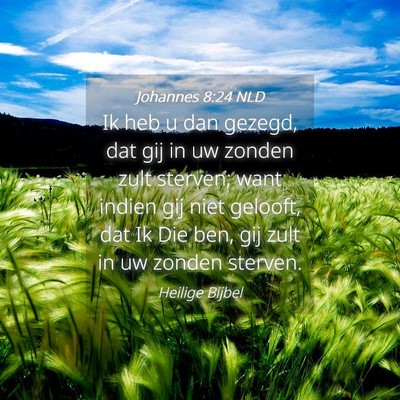 Picture 04 - Johannes 8:24 NLD - Ik heb u dan gezegd, dat gij in uw zonden zult - Bible Verse Picture