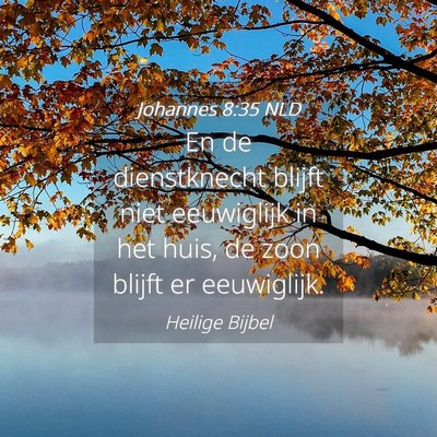 Picture 04 - Johannes 8:35 NLD - En de dienstknecht blijft niet eeuwiglijk in het - Bible Verse Picture