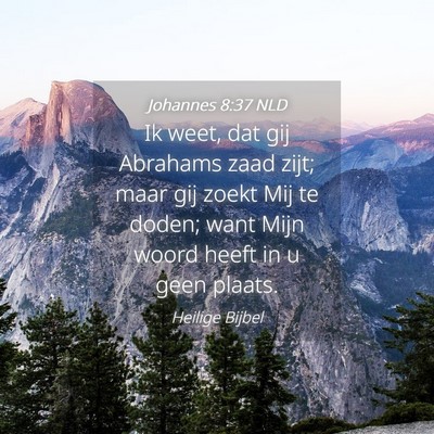 Picture 04 - Johannes 8:37 NLD - Ik weet, dat gij Abrahams zaad zijt; maar gij - Bible Verse Picture