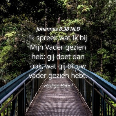 Picture 04 - Johannes 8:38 NLD - Ik spreek wat Ik bij Mijn Vader gezien heb; gij - Bible Verse Picture