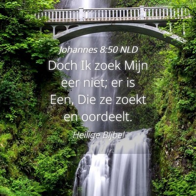 Picture 04 - Johannes 8:50 NLD - Doch Ik zoek Mijn eer niet; er is Een, Die ze - Bible Verse Picture