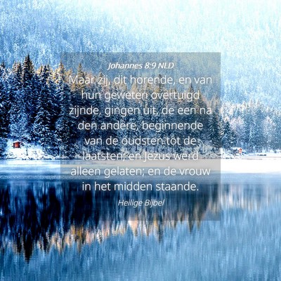 Picture 04 - Johannes 8:9 NLD - Maar zij, dit horende, en van hun geweten - Bible Verse Picture