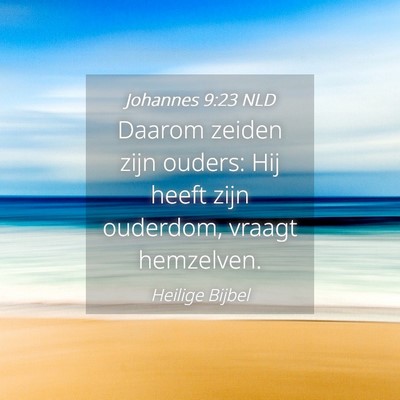 Picture 04 - Johannes 9:23 NLD - Daarom zeiden zijn ouders: Hij heeft zijn - Bible Verse Picture