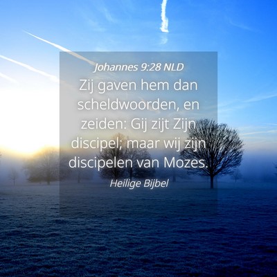 Picture 04 - Johannes 9:28 NLD - Zij gaven hem dan scheldwoorden, en zeiden: Gij - Bible Verse Picture