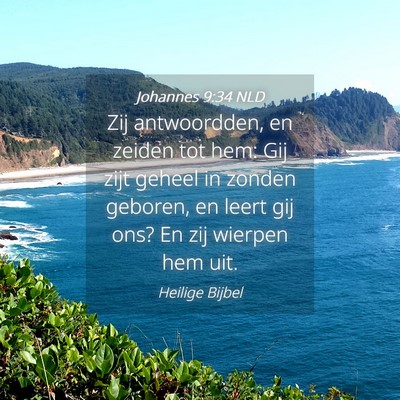 Picture 04 - Johannes 9:34 NLD - Zij antwoordden, en zeiden tot hem: Gij zijt - Bible Verse Picture
