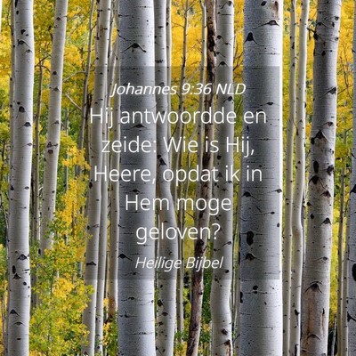 Picture 04 - Johannes 9:36 NLD - Hij antwoordde en zeide: Wie is Hij, Heere, opdat - Bible Verse Picture