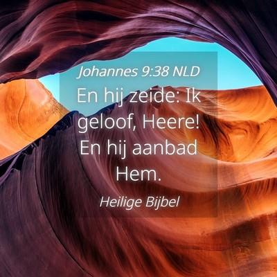 Picture 04 - Johannes 9:38 NLD - En hij zeide: Ik geloof, Heere! En hij aanbad - Bible Verse Picture