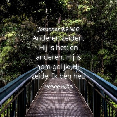 Picture 04 - Johannes 9:9 NLD - Anderen zeiden: Hij is het; en anderen: Hij is - Bible Verse Picture