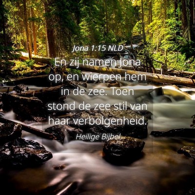 Picture 04 - Jona 1:15 NLD - En zij namen Jona op, en wierpen hem in de zee. - Bible Verse Picture