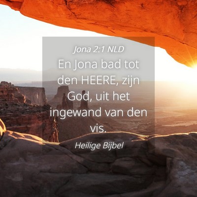 Picture 04 - Jona 2:1 NLD - En Jona bad tot den HEERE, zijn God, uit het - Bible Verse Picture