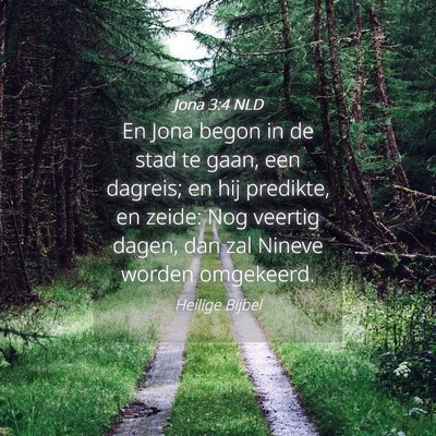 Picture 04 - Jona 3:4 NLD - En Jona begon in de stad te gaan, een dagreis; en - Bible Verse Picture