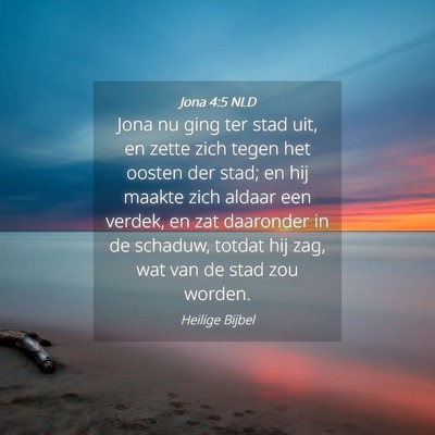 Picture 04 - Jona 4:5 NLD - Jona nu ging ter stad uit, en zette zich tegen - Bible Verse Picture