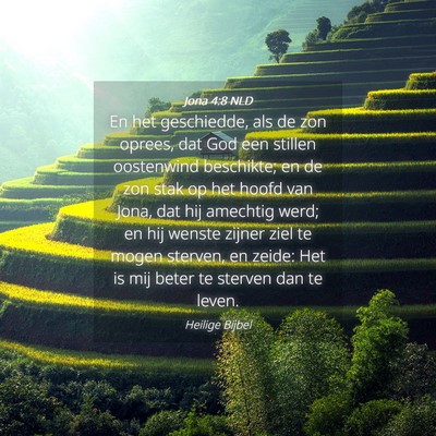Picture 04 - Jona 4:8 NLD - En het geschiedde, als de zon oprees, dat God een - Bible Verse Picture