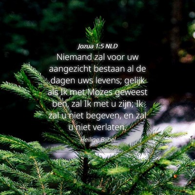 Picture 04 - Jozua 1:5 NLD - Niemand zal voor uw aangezicht bestaan al de - Bible Verse Picture