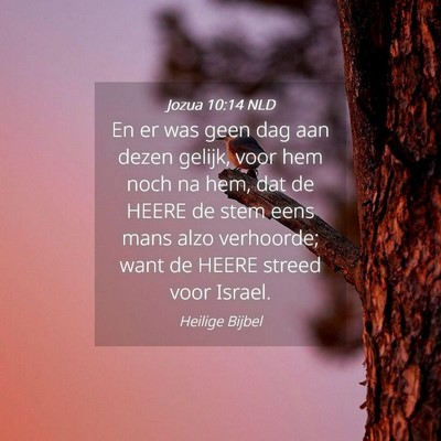 Picture 04 - Jozua 10:14 NLD - En er was geen dag aan dezen gelijk, voor hem - Bible Verse Picture
