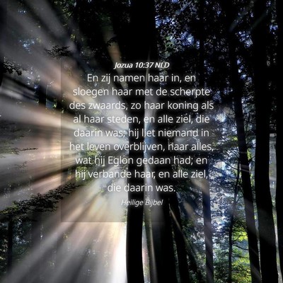 Picture 04 - Jozua 10:37 NLD - En zij namen haar in, en sloegen haar met de - Bible Verse Picture