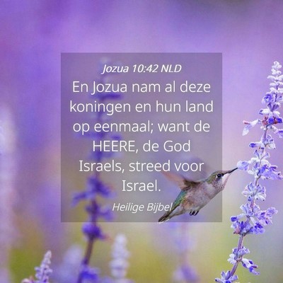 Picture 04 - Jozua 10:42 NLD - En Jozua nam al deze koningen en hun land op - Bible Verse Picture