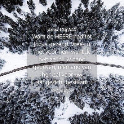 Picture 04 - Jozua 10:8 NLD - Want de HEERE had tot Jozua gezegd: Vrees u niet - Bible Verse Picture