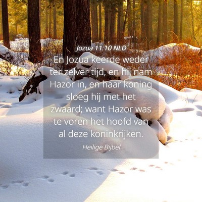 Picture 04 - Jozua 11:10 NLD - En Jozua keerde weder ter zelver tijd, en hij nam - Bible Verse Picture