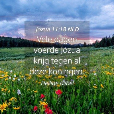 Picture 04 - Jozua 11:18 NLD - Vele dagen voerde Jozua krijg tegen al deze - Bible Verse Picture