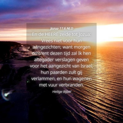 Picture 04 - Jozua 11:6 NLD - En de HEERE zeide tot Jozua: Vrees niet voor hun - Bible Verse Picture
