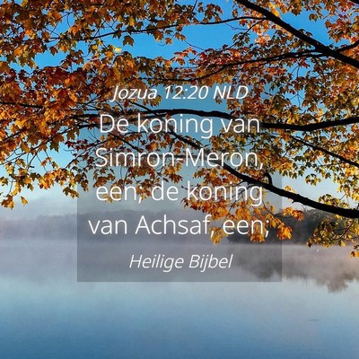 Picture 04 - Jozua 12:20 NLD - De koning van Simron-Meron, een; de koning van - Bible Verse Picture