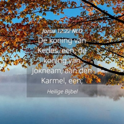 Picture 04 - Jozua 12:22 NLD - De koning van Kedes, een; de koning van Jokneam, - Bible Verse Picture