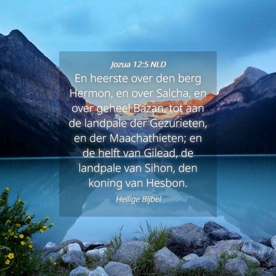 Picture 04 - Jozua 12:5 NLD - En heerste over den berg Hermon, en over Salcha, - Bible Verse Picture