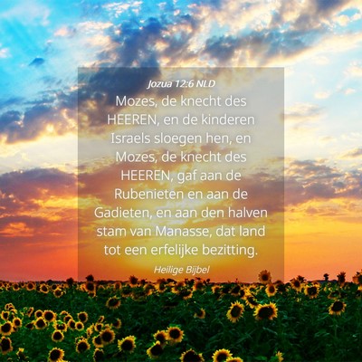Picture 04 - Jozua 12:6 NLD - Mozes, de knecht des HEEREN, en de kinderen - Bible Verse Picture