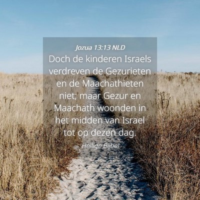 Picture 04 - Jozua 13:13 NLD - Doch de kinderen Israels verdreven de Gezurieten - Bible Verse Picture