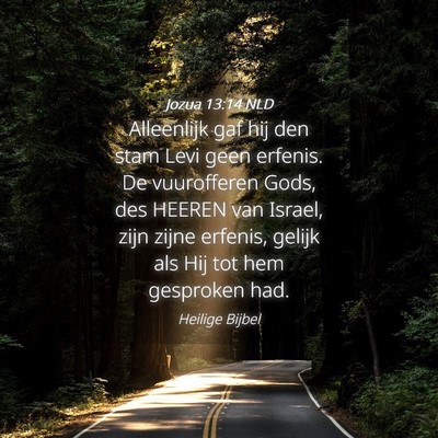 Picture 04 - Jozua 13:14 NLD - Alleenlijk gaf hij den stam Levi geen erfenis. De - Bible Verse Picture