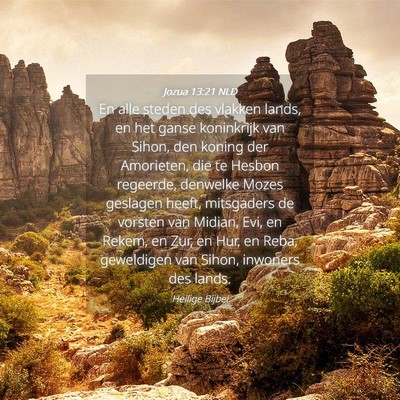 Picture 04 - Jozua 13:21 NLD - En alle steden des vlakken lands, en het ganse - Bible Verse Picture