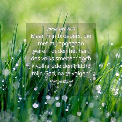 Picture 04 - Jozua 14:8 NLD - Maar mijn broeders, die met mij opgegaan waren, - Bible Verse Picture