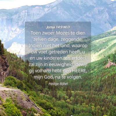 Picture 04 - Jozua 14:9 NLD - Toen zwoer Mozes te dien zelven dage, zeggende: - Bible Verse Picture