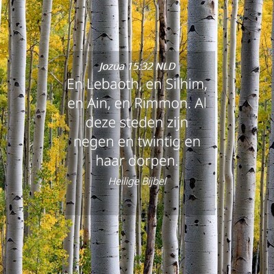 Picture 04 - Jozua 15:32 NLD - En Lebaoth, en Silhim, en Ain, en Rimmon. Al deze - Bible Verse Picture