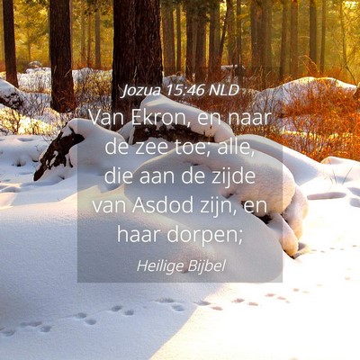 Picture 04 - Jozua 15:46 NLD - Van Ekron, en naar de zee toe; alle, die aan de - Bible Verse Picture